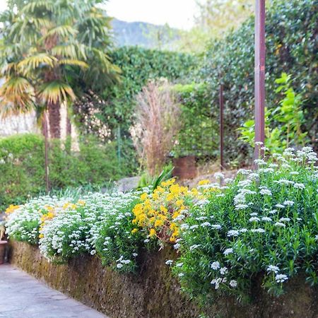 Casa Alice Apartment Lierna Exterior photo