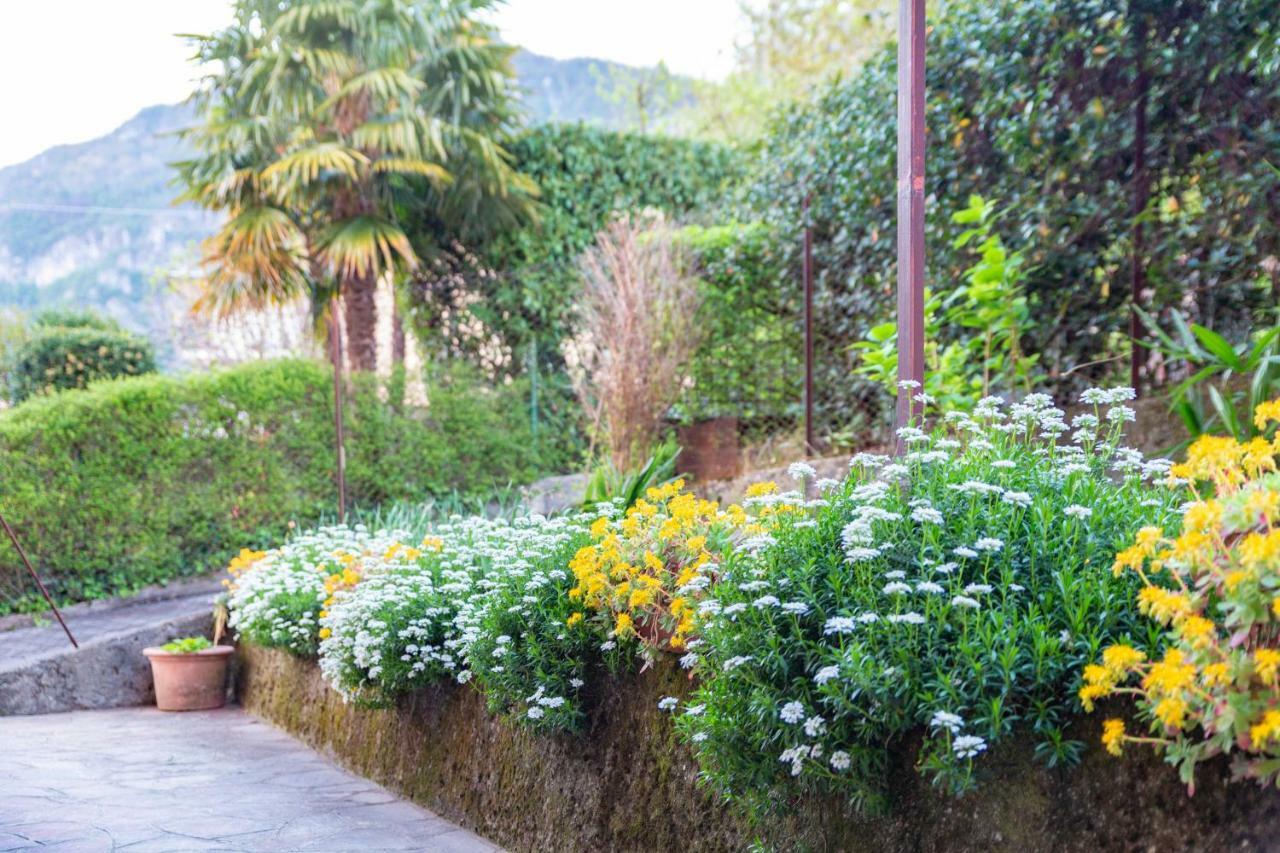 Casa Alice Apartment Lierna Exterior photo